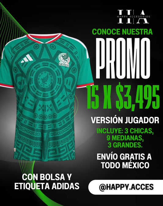 Paquete 15 Playeras